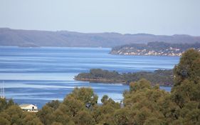 Harbour Lookout